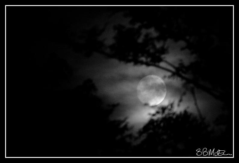 Full Moon: Photograph by Steve Milner